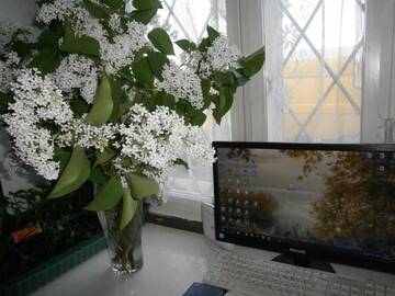 Фото номера Дом для отпуска Дома для отпуска Гостевой семейный домик-усадьба  г. Zorychy 101